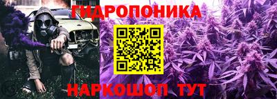 гидра Пенза