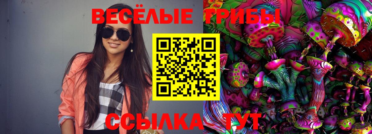 Галлюциногенные грибы GOLDEN TEACHER Новоуральск